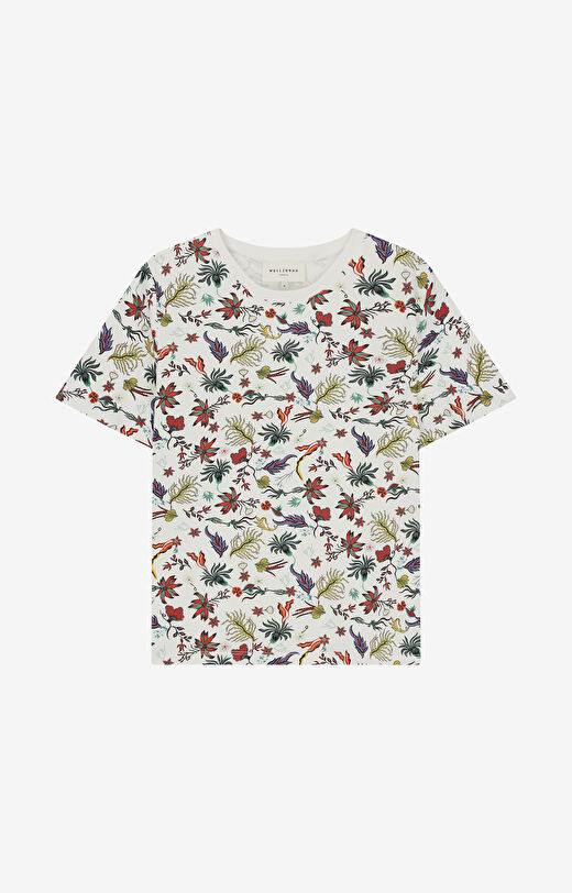 T-shirty z bawełny supima