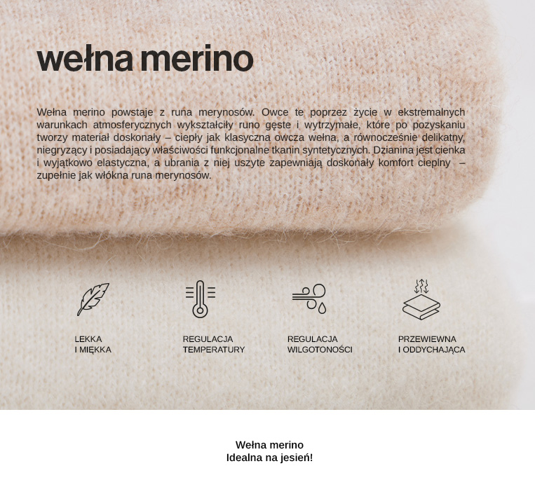 baner_merino_swetry-1.jpg