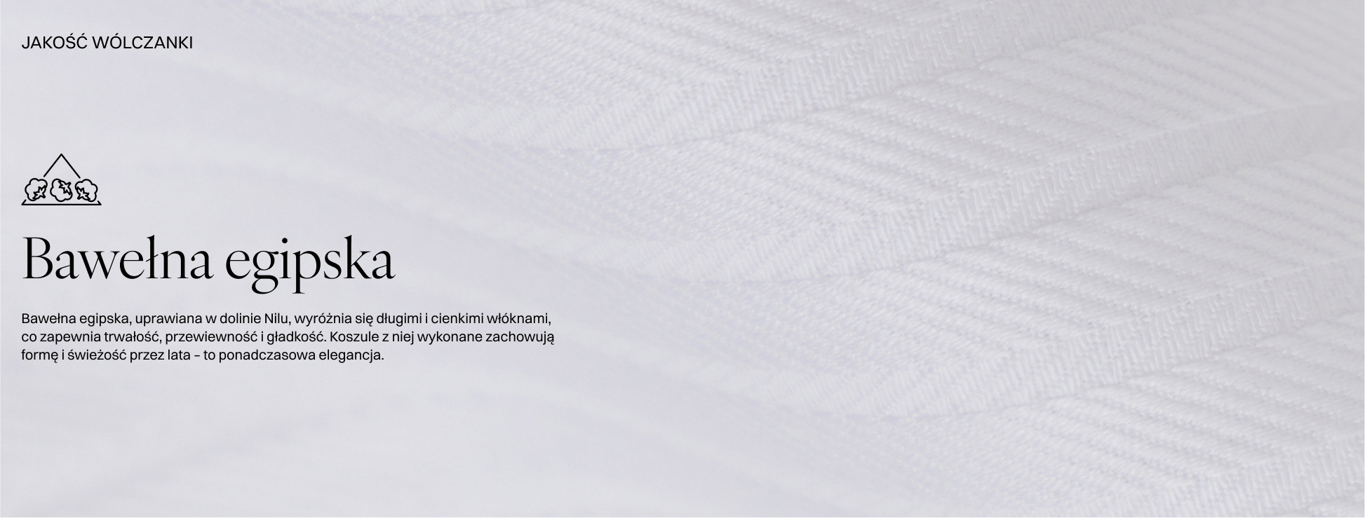 bawelna_egipska_4.jpg