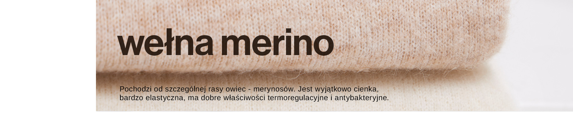 merino_d(1).jpg